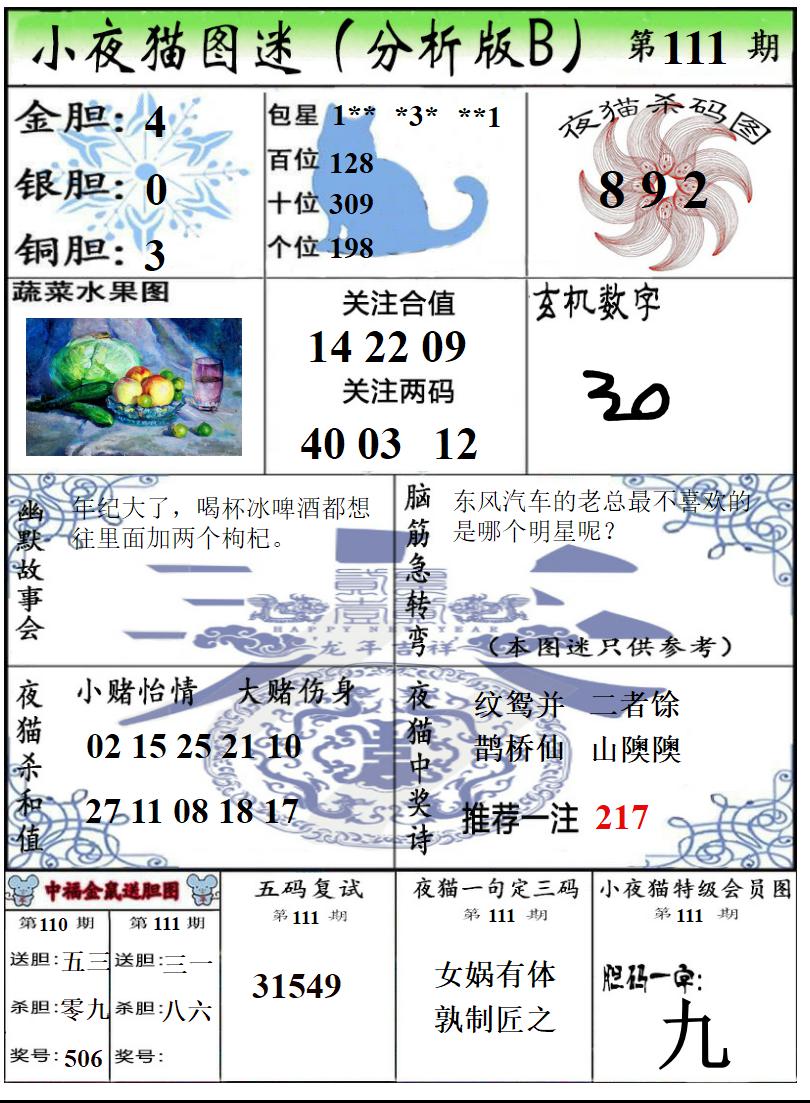 真小猫B