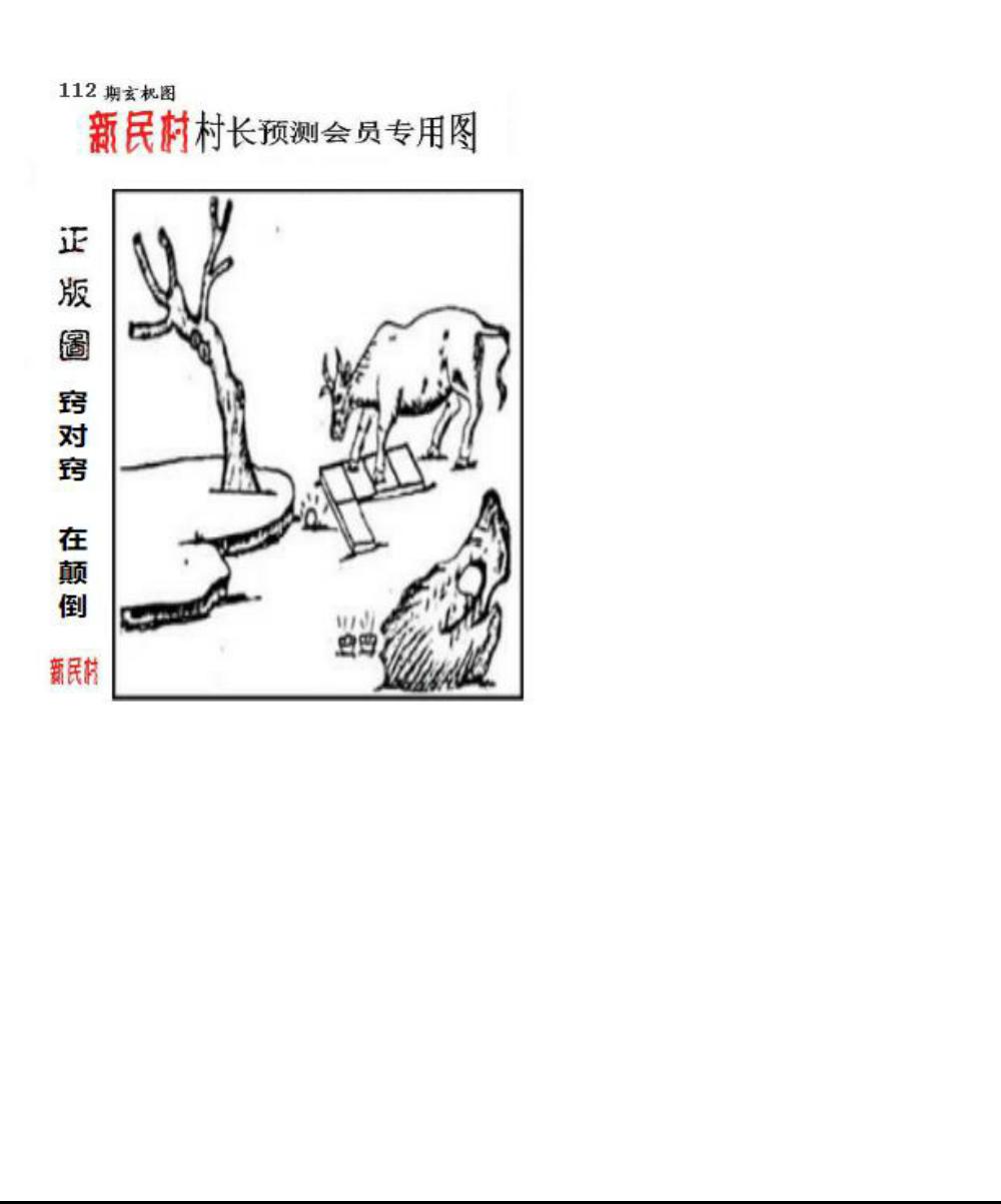 正版新民村村长预测图