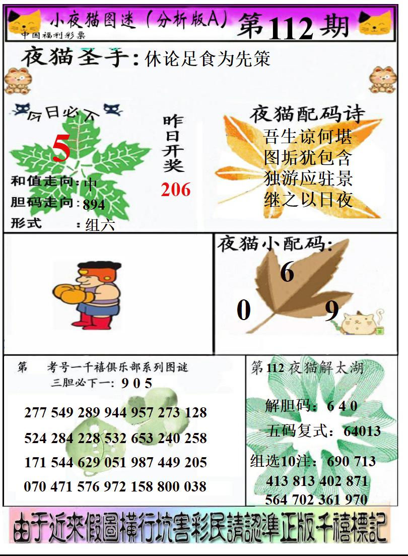 真小猫A