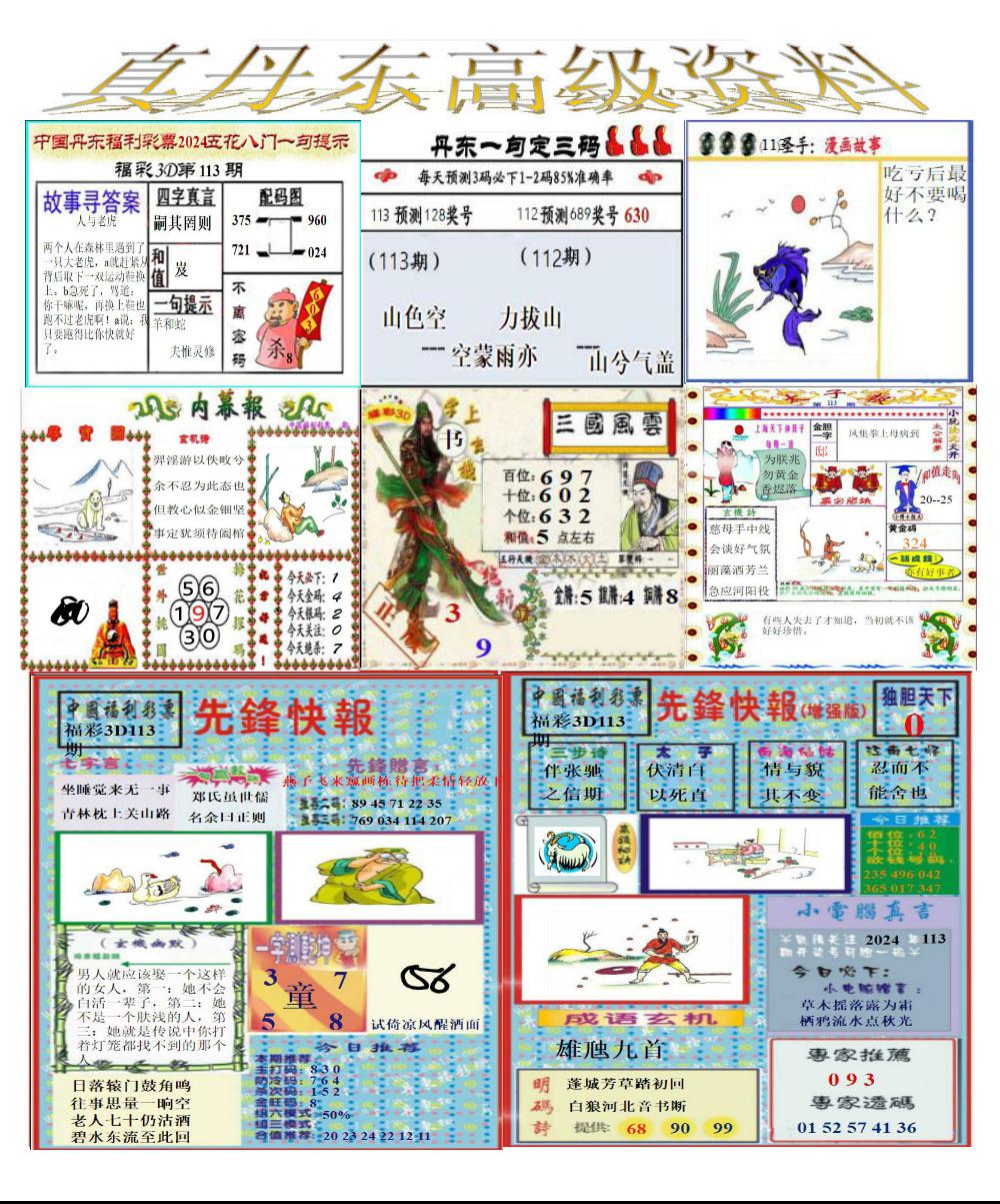 真丹东高级资料