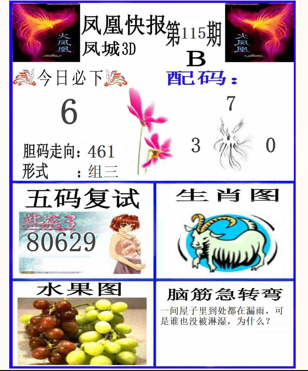 3D凤凰快报B版