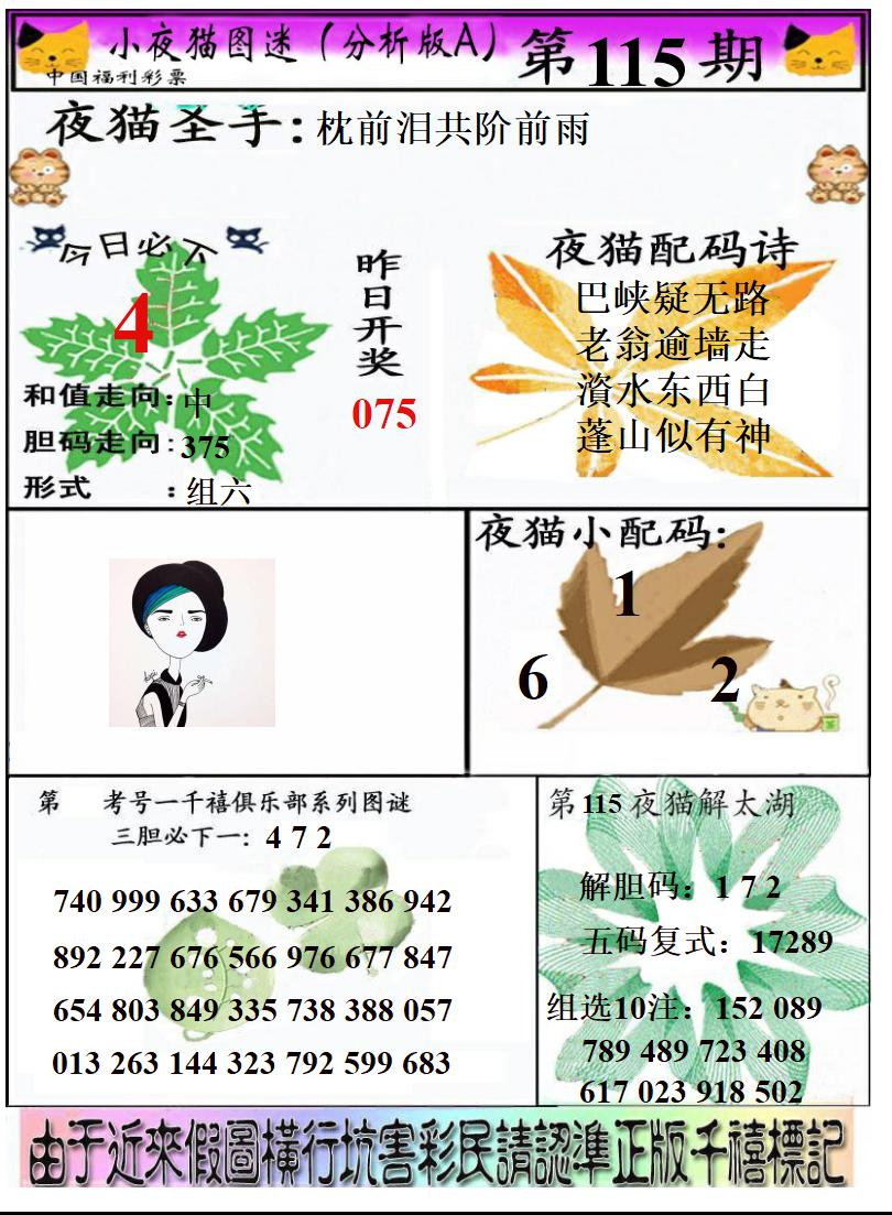 真小猫A