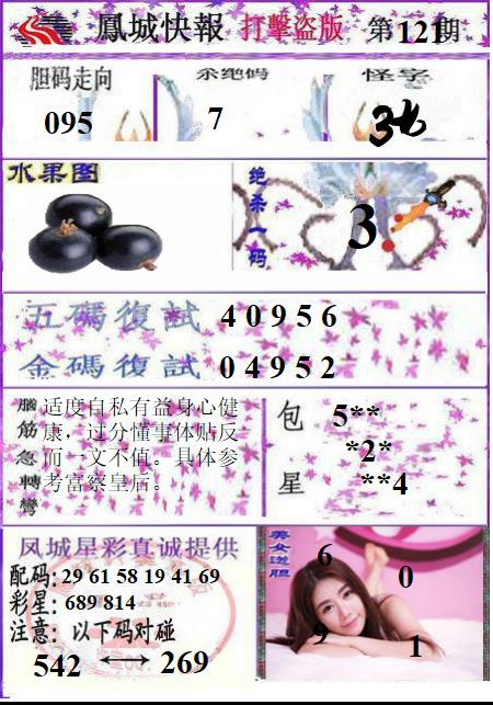 凤城打黑B版