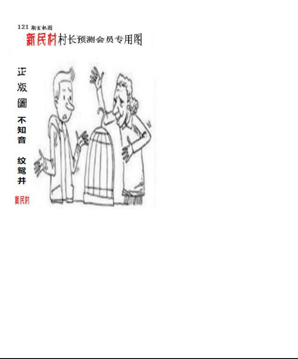 正版新民村村长预测图
