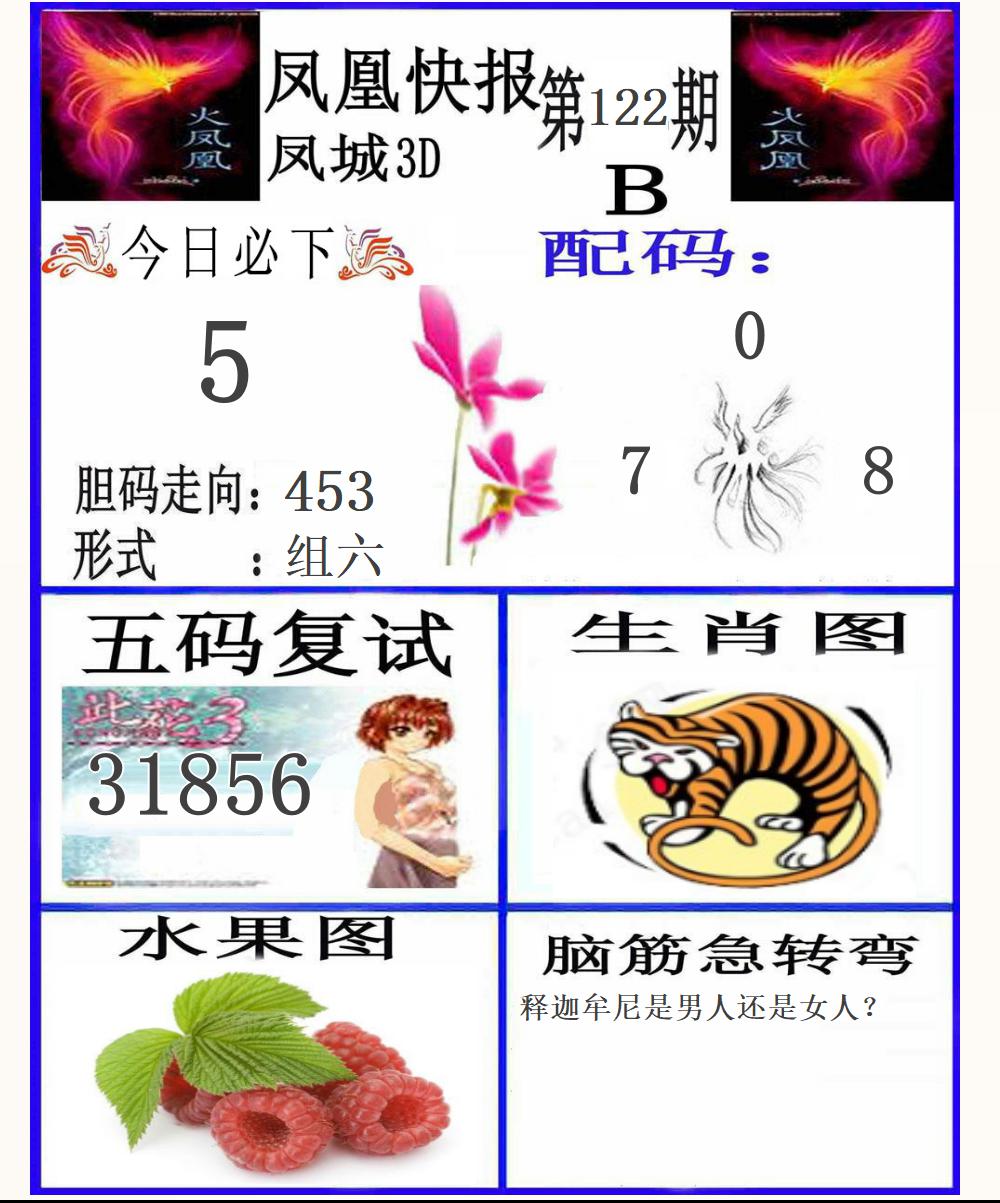 3D凤凰快报B版
