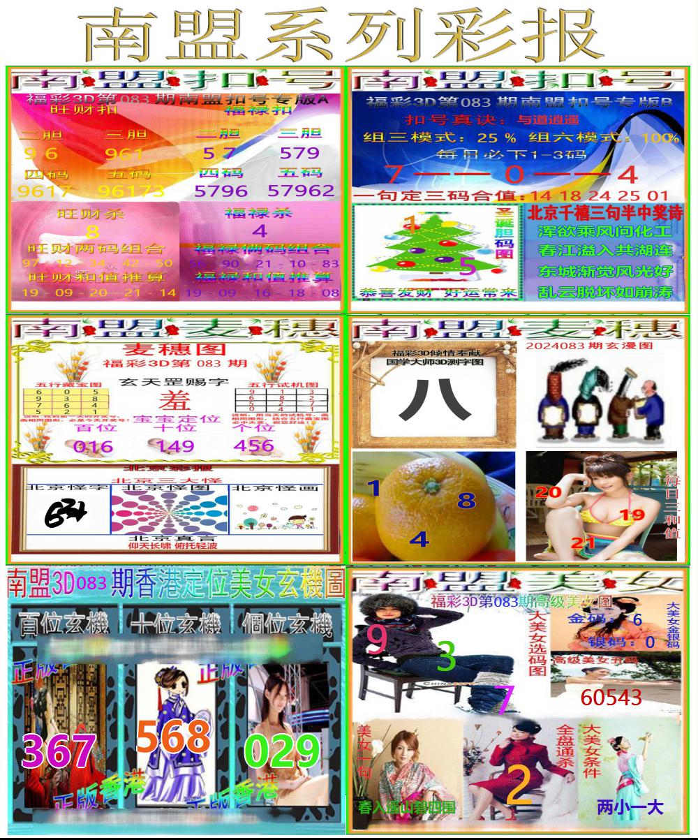3D南盟系列彩报