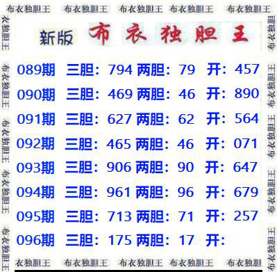 布衣独胆王