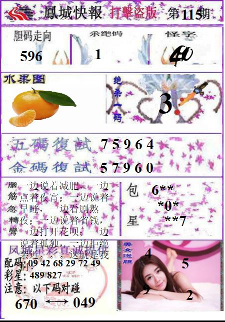 凤城打黑B版