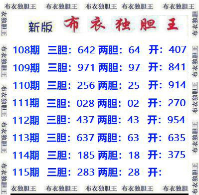布衣独胆王