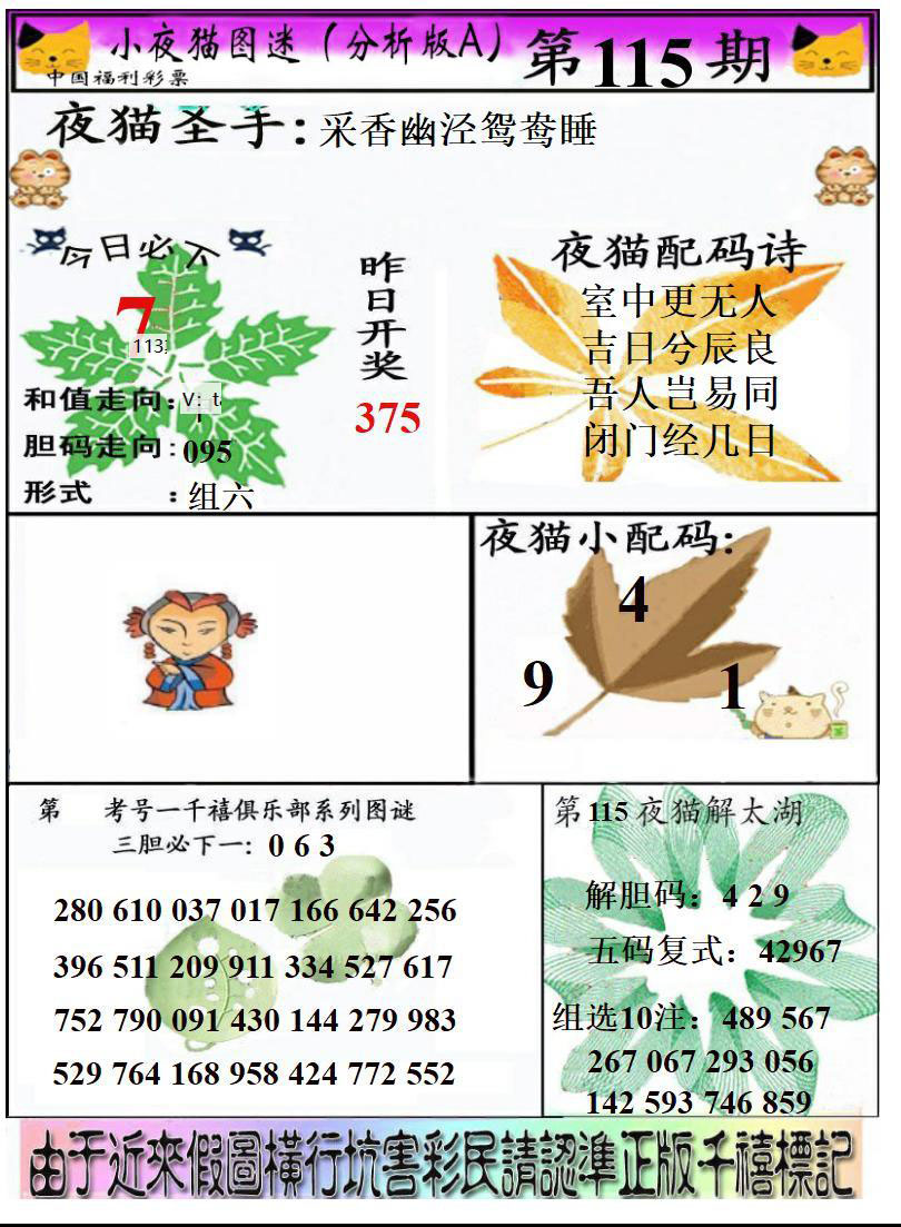 真小猫A