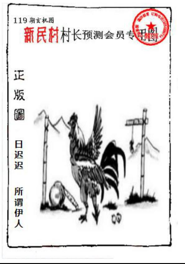 新民村村长预测图