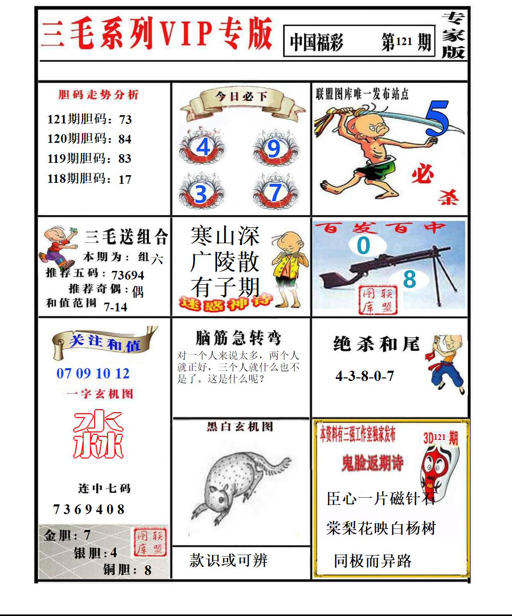 三毛专家版