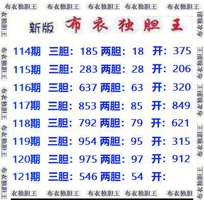 布衣独胆王