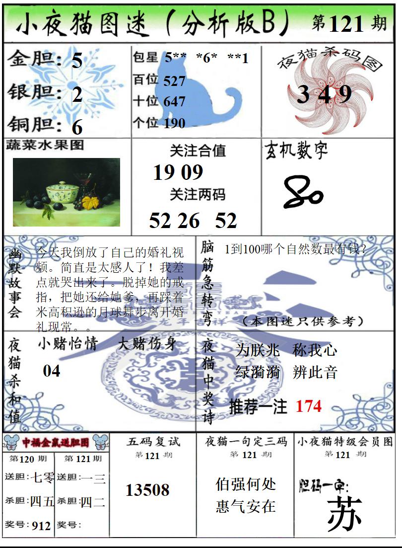 真小猫B